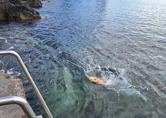 Appartement Casa Da Furna Santo Antonio (Pico Island)